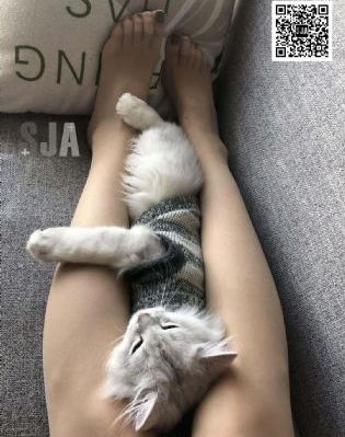 国产万能断路器排名_免费手机在线看观看